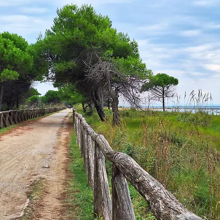 Comfortable In The Heart Of Appartamento *